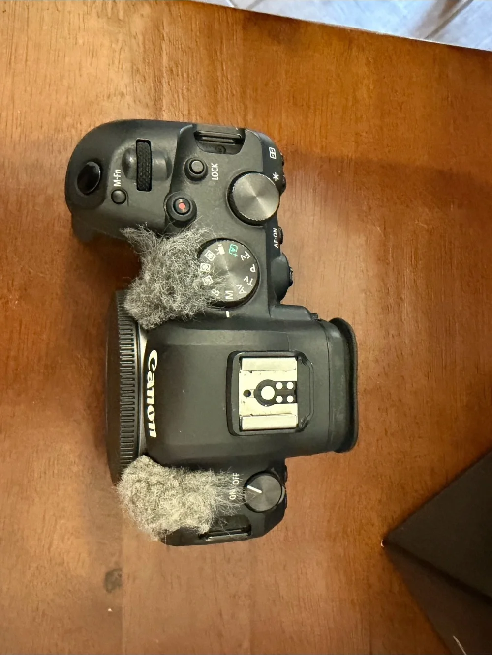 Canon R6 Camera